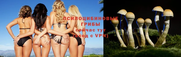 Альфа ПВП Абдулино